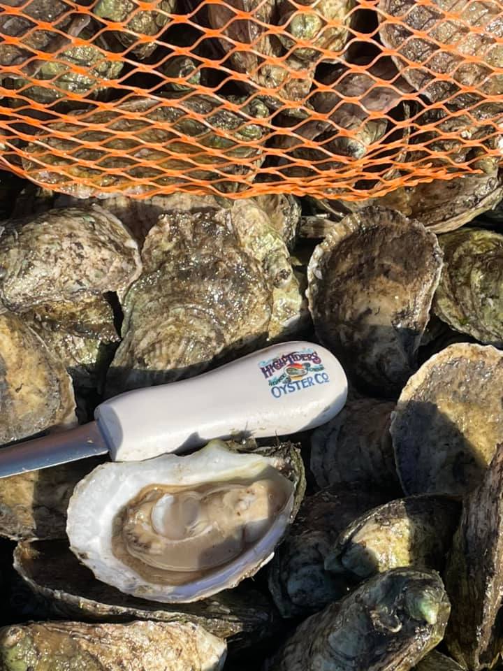Oysters- 100 Count